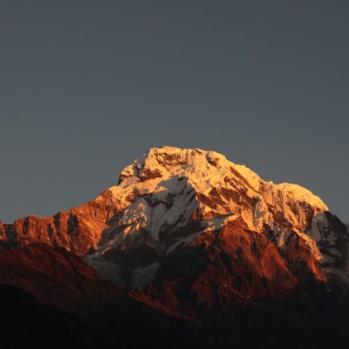 bishal-mishra-SnDgEdmHJKg-unsplash