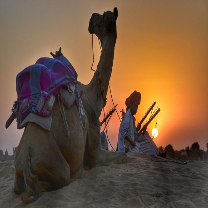 A camel resting on the desert sand
