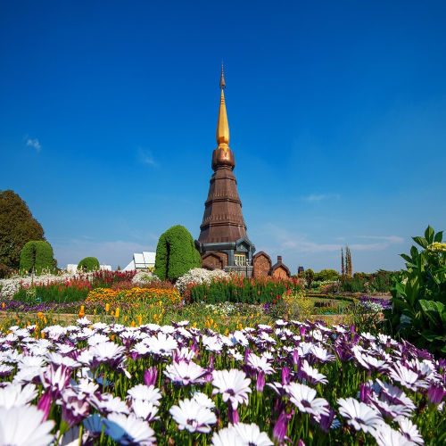 landmark-pagoda-doi-..._imresizer